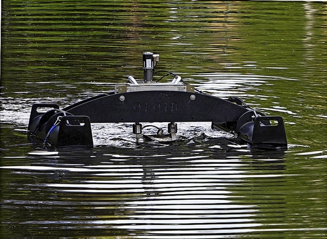 Die  zwei Belftungsroboter sollten di... das Wasser mit Sauerstoff anreichern.  | Foto: Peter Stellmach