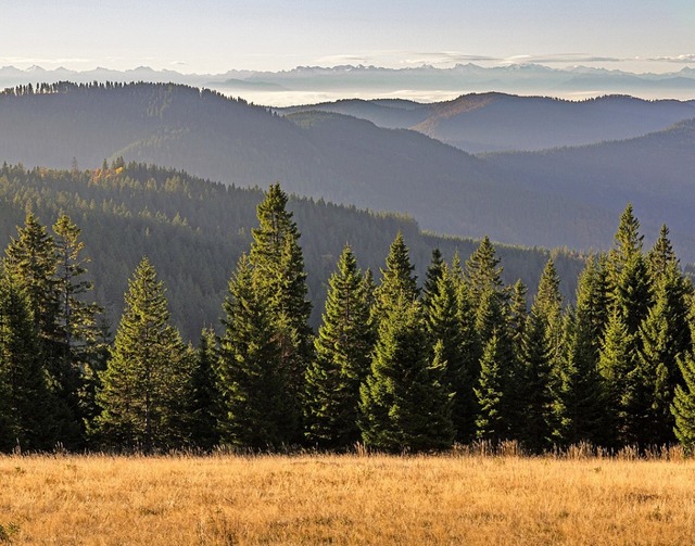 Bilder wie dieses herbstliche Alpenpanorama sind in der Ausstellung zu sehen.  | Foto: Sebastian Schrder-Esch