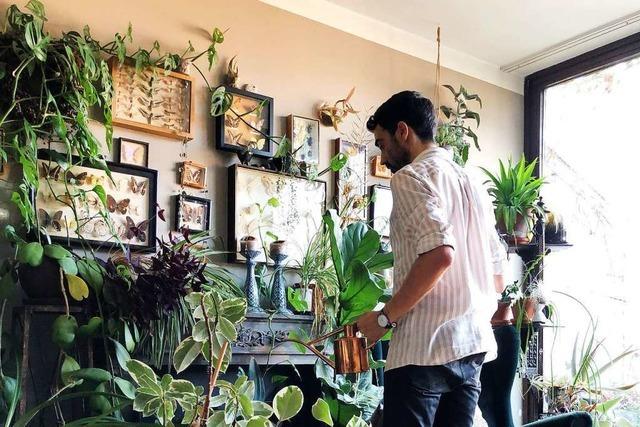 Der trendige Dschungel Daheim: Wieso Zimmerpflanzen plötzlich cool sind