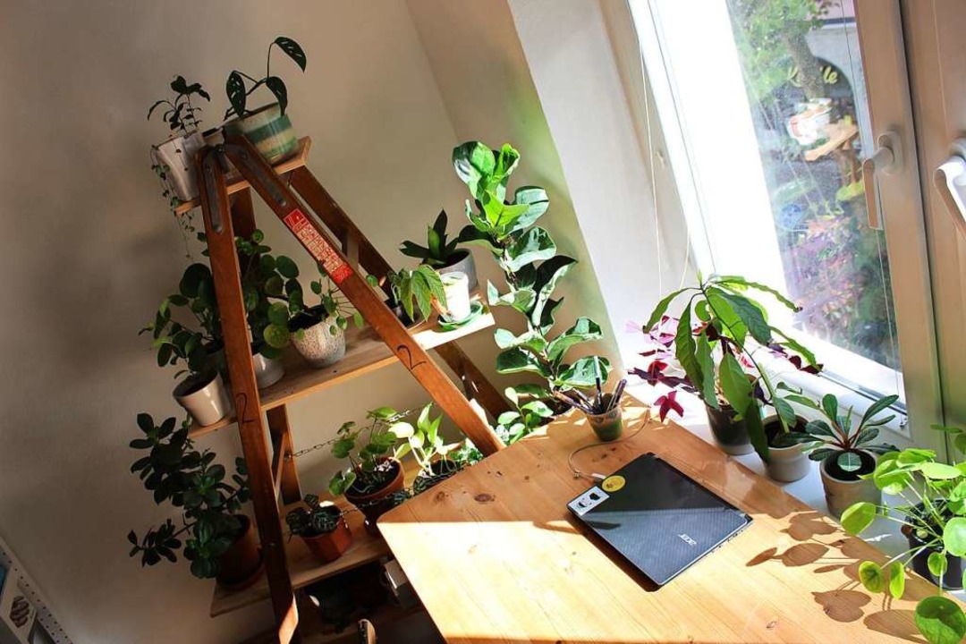 Paradies neben dem Laptop: Einige von Miriams Pflanzen.  | Foto: Miriam Heuser