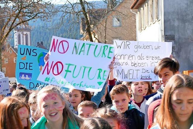 Der Hochschwarzwald ist zum Klimastreik aufgerufen