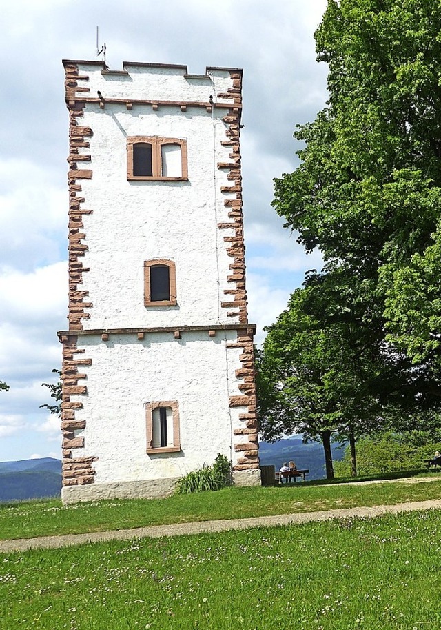 Um eine Schutzhtte am Hohe-Flum-Turm ...nter anderem im Ortschaftsrat Wiechs.   | Foto: Angelika Schmidt