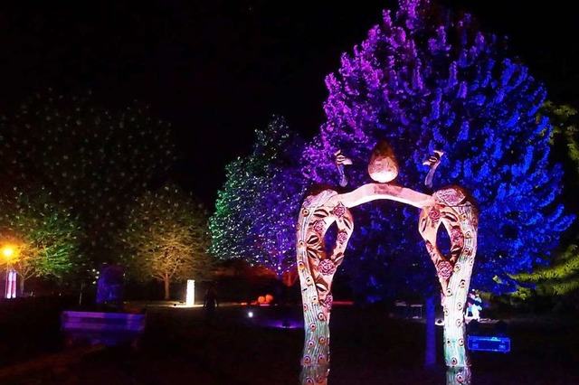 Spektakulre Lichtshow im Brgerpark zum Abschlussabend des Symposiums  | Foto: Ilona Huege
