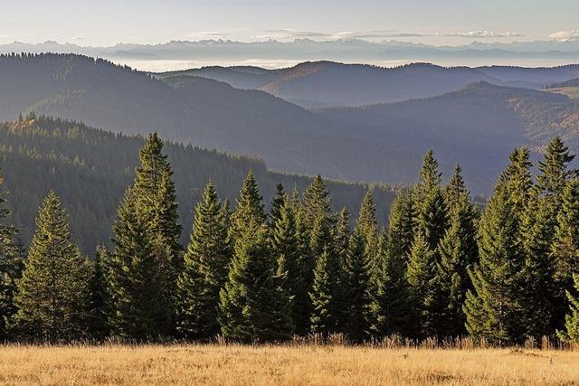 Haus der Natur auf dem Feldberg bietet zweiteiligen Foto-Kurs an