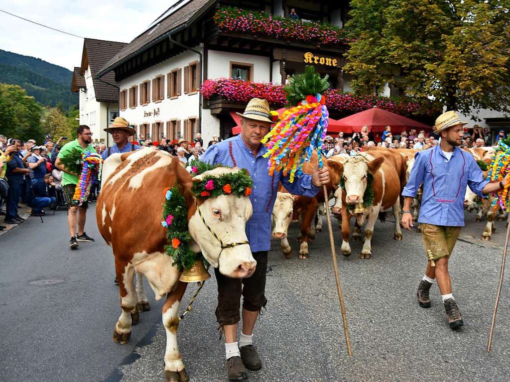 Impressionen vom Almabtrieb