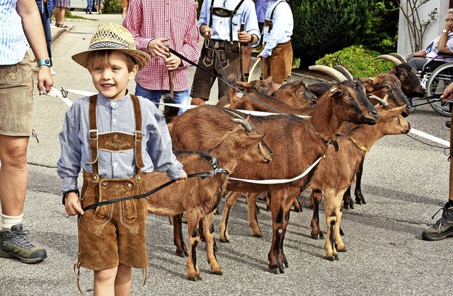 Nicht nur die Khe kommen beim Almabtrieb ins Dorf, sondern auch die Ziegen.   | Foto: Horst Dauenhauer