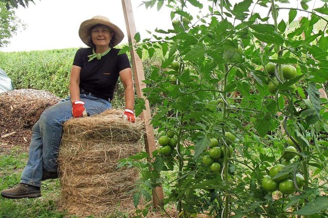 Roswitha Rombach rollt Heuballen aus &...rt als Wasserspeicher fr die Tomaten.  | Foto: Jutta Schtz