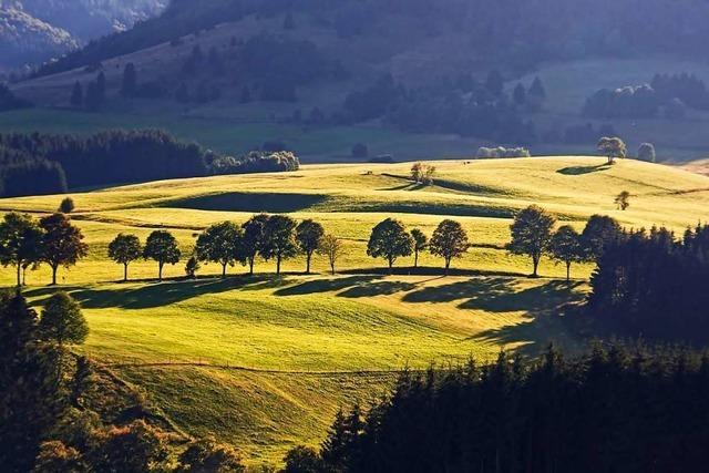 Bei Landwirtschaft, Naturschutz und Tourismus sehen Politiker im Schwarzwald 