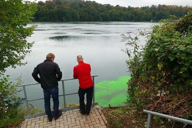 Fr einen Versuch frbt sich der Rhein bei Rheinfelden grn