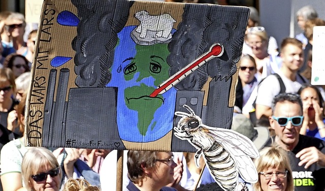 Die Klimadebatte kommt von der Strae ..., auch bei der Sitzung am Donnerstag.   | Foto: Lukas Mller
