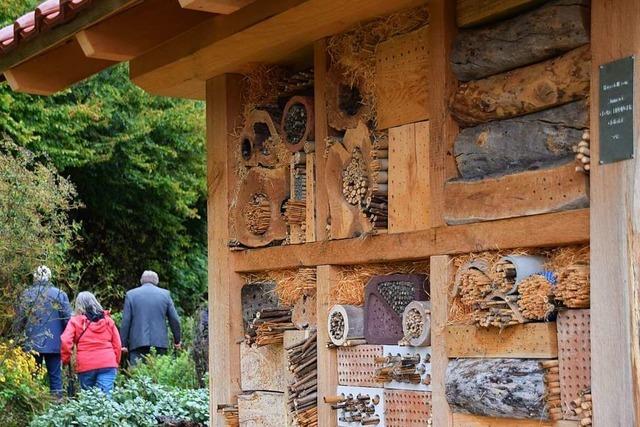 Schwarzwaldverein errichtet im Glotterteil ein prächtiges Bienenhaus