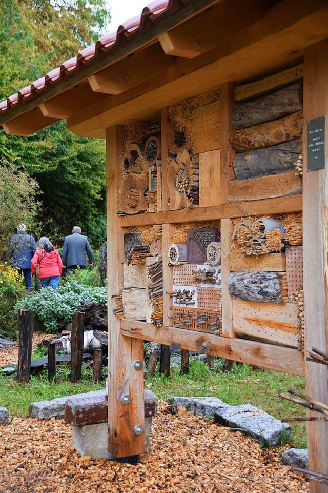 Neues Bienenhaus in Glottertal  | Foto: Helena Kiefer
