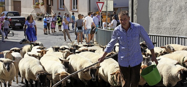 Ralf Krner mit seiner Herde beim Almabtrieb   | Foto: Gert Brichta