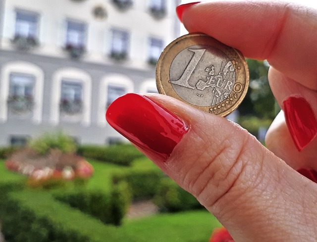 Die Stadt muss nicht jeden Euro umdrehen. Finanziell steht Wehr solide da.   | Foto: Erika Bader