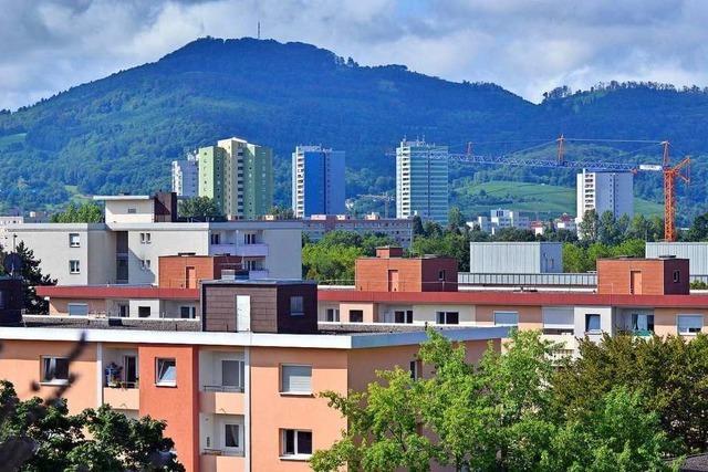 Verband fordert die Stadt Freiburg auf, die Grundsteuer zu senken