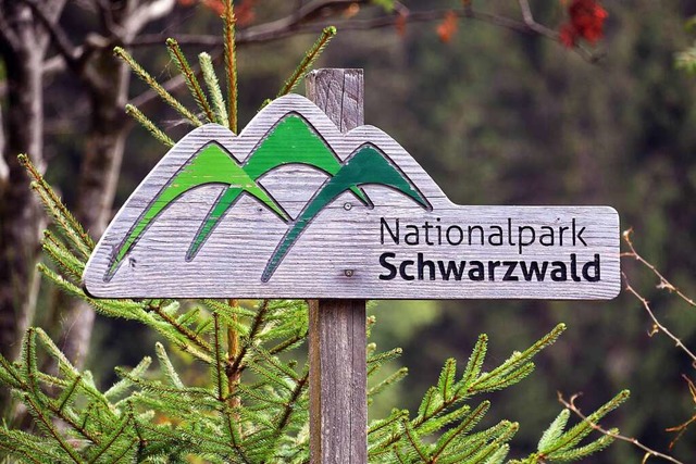 Im  Nationalpark Schwarzwald soll es b...boteuren auf die Schliche zu kommen.    | Foto: Uli Deck (dpa)