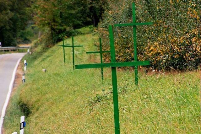 Feldberger Landwirte protestieren mit grünen Kreuzen gegen das Bienenschutz-Volksbegehren
