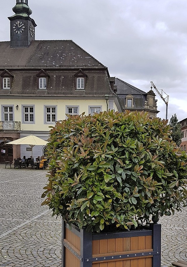 Pflanzkbel rund um den Brunnen sind  das einzige Grn.  | Foto: Gerhard Walser