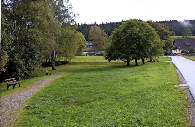 Auf der Wiese bei der Wassertretstelle...s mit den Trainingsgerten entstehen.   | Foto: Dieter Maurer