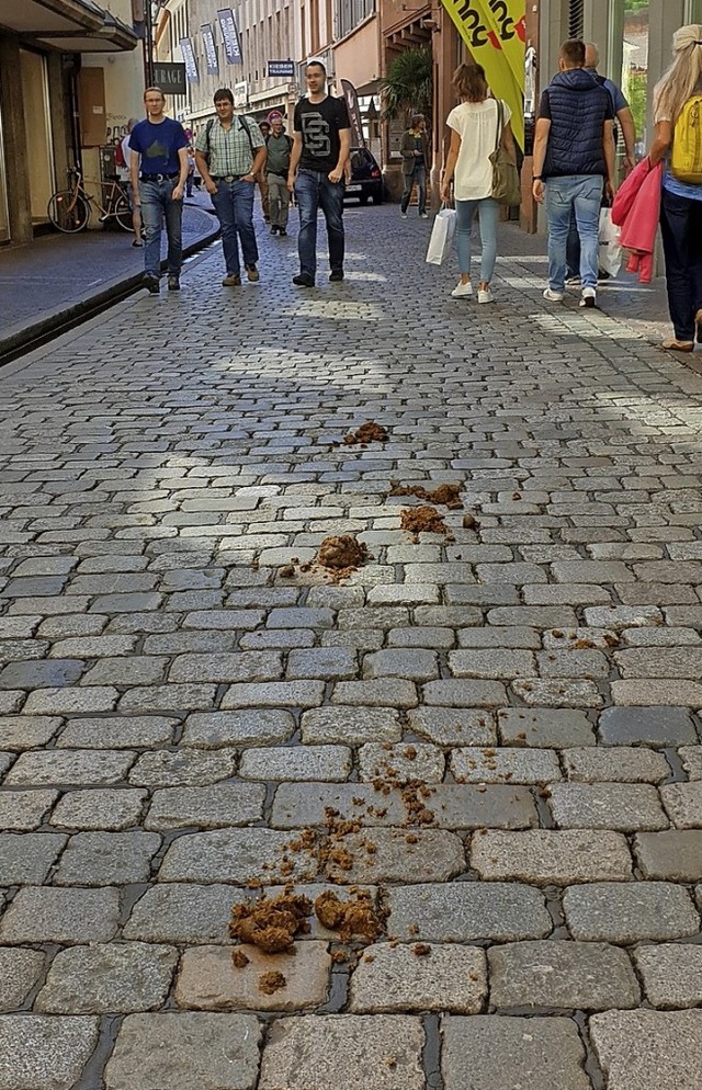 <BZ-FotoAnlauf>Berittene Polizei</BZ-F...unzweifelhaft in der Grnwlderstrae.  | Foto: Uwe Mauch