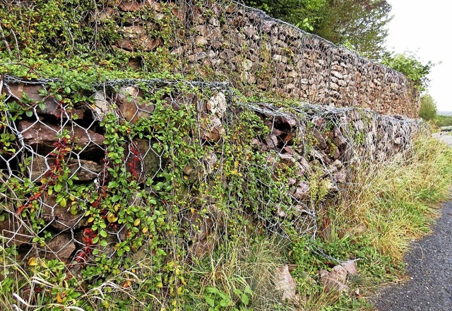 Die beschdigte Gabionenmauer im Leinf...fordert der Nordweiler Ortschaftsrat.   | Foto: Reiner Merz