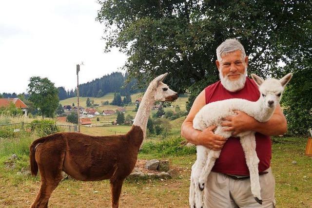 Familie bietet Wanderungen im Hotzenwald an – mit 29 Alpakas