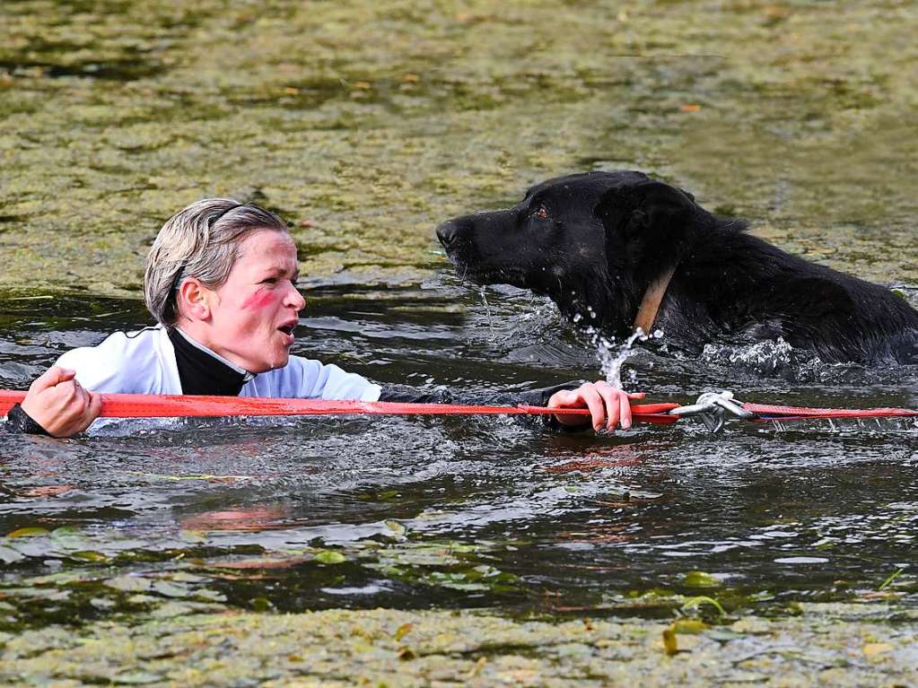 Viele Hindernisse, kaltes Wasser, tiefer Schlamm: Rund 2000 Sportler stellten sich den Herausforderungen beim Rothaus Mudiator Finale in Grafenhausen.