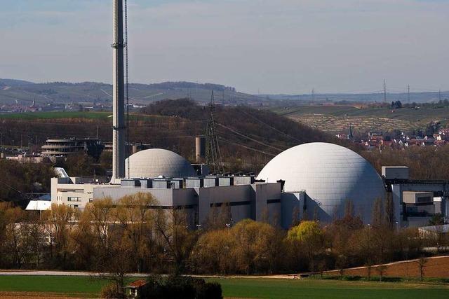 Peter Hauk will frheren Braunkohle-Ausstieg – durch Kernkraft