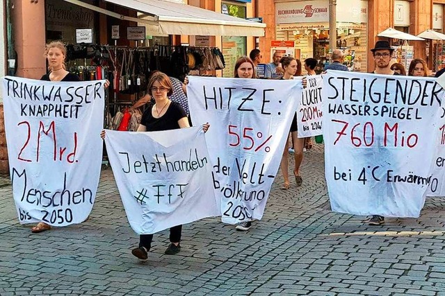 Die Lahrer Gruppe von Fridays for Future bei der Demo am 1. September.  | Foto: christian Kramberg