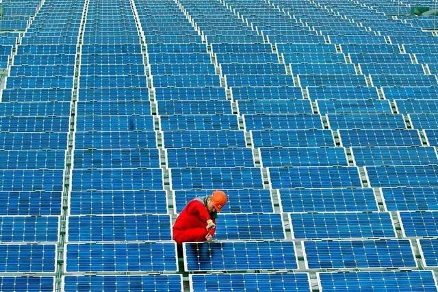 Merdinger Rat sagt Ja zu Testfeld für Solaranlagen