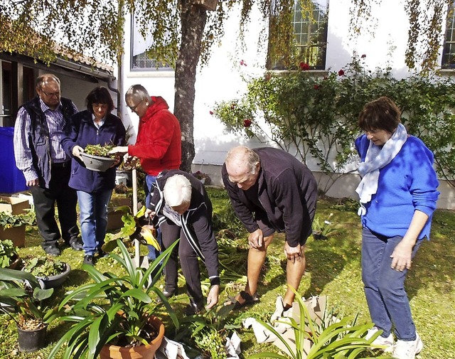 Bei der Pflanzentauschbrse der evange...ern, oder auch lediglich abzuliefern.   | Foto: Cornelia Selz