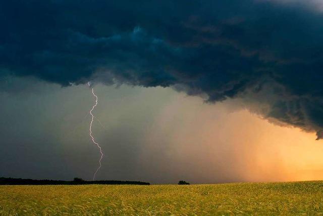 Grn-Schwarz will besseren Schutz fr Landwirte gegen Wetterextreme