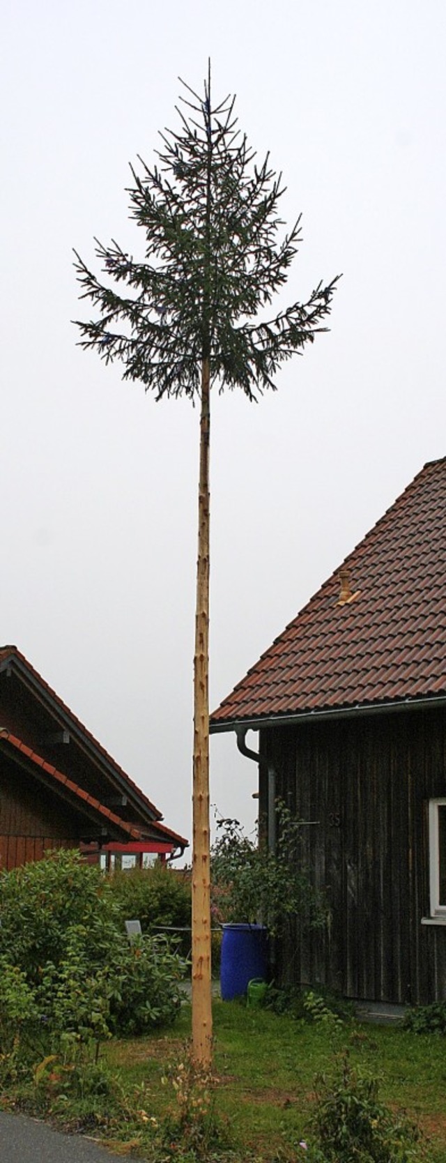 Der neuen Gersbacher Ortsvorsteherin A...ition der Ortsvorsteherbaum gestellt.   | Foto: Gerd Sutter