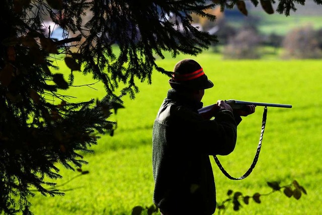 Der Jger wurde wegen Sachbeschdigung...0 Tagesstzen verurteilt. (Symbolbild)  | Foto: Felix Kstle (dpa)