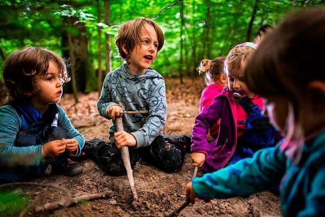 Kreis will Waldpdagogik im Forstrevier Denzlingen-Freiamt frdern