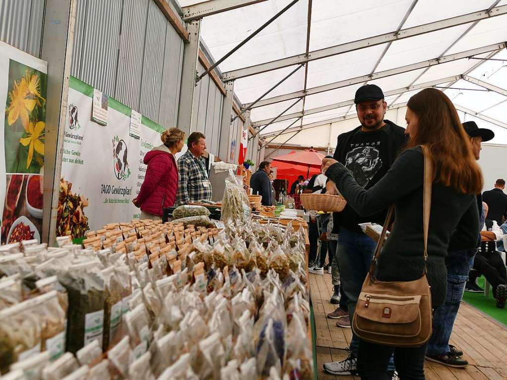 Eindrcke vom Erffnungstag der Dreilandmesse