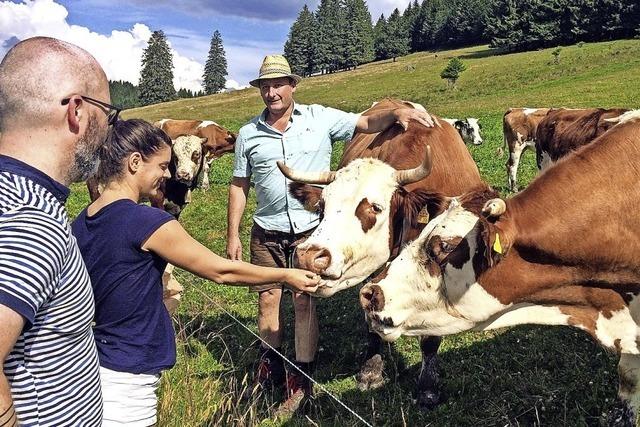 Am Gngelband der hohen Politik