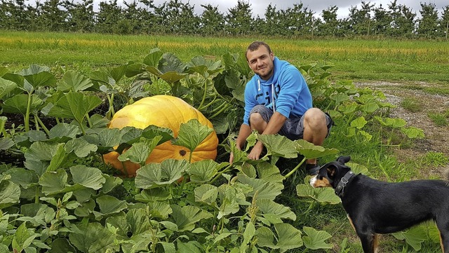 Julian Deschler mit dem 80 Kilo schweren Riesenkrbis und dem Hofhund   | Foto: Rosa Di Nardo