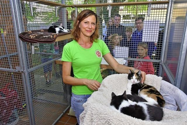 Offene Tr im Tierheim Emmendingen