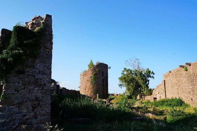 Eine Wanderung zur Burgruine Frankenbourg im Zentralelsass