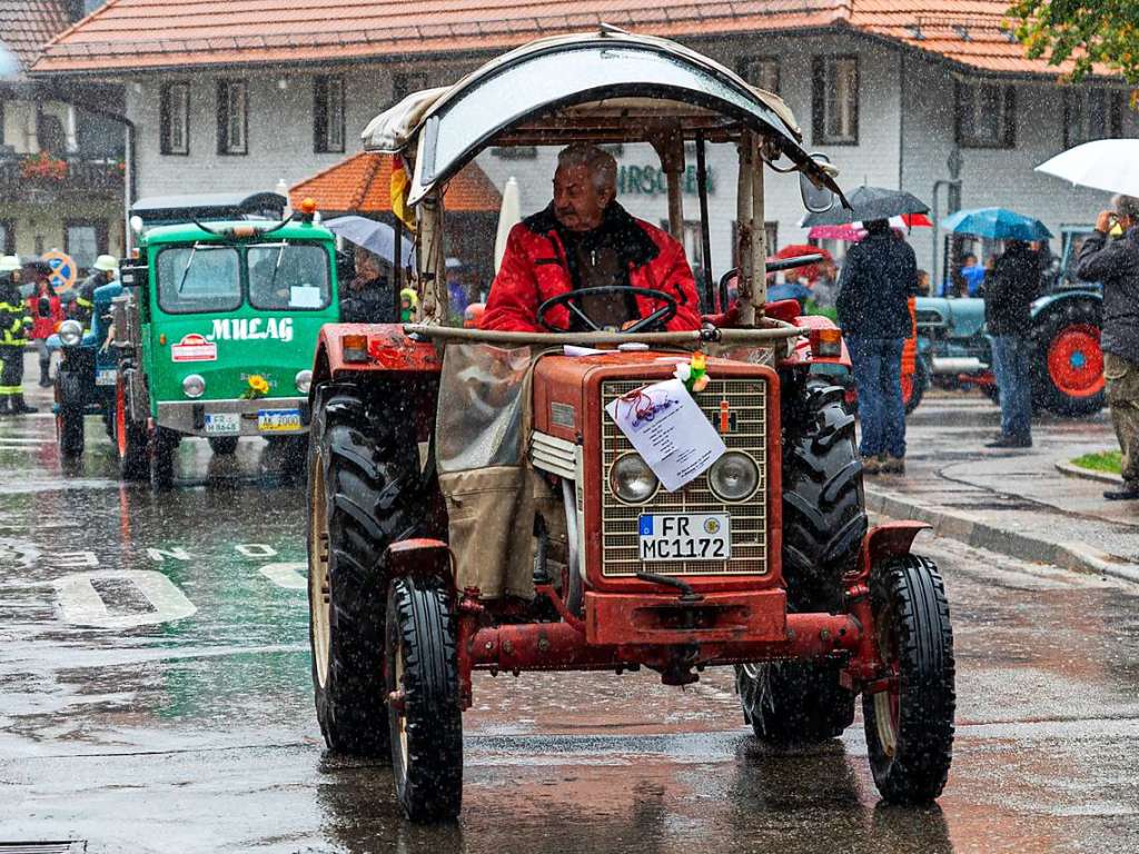 Der Viehabtrieb ist alljhrlich der Hhepunkt der Alemannischen Woche in Oberried.