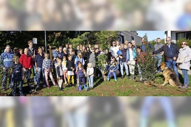 50 Menschen planzen am Tag der Deutschen Einheit gemeinsam Bäume in Bad Krozingen