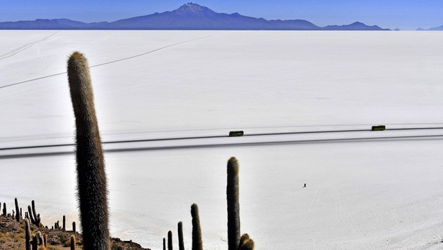 Der Salar der Uyuni, der grte Salzse...ine Flche von  536 Quadratkilometern.  | Foto: AIZAR RALDES (AFP)