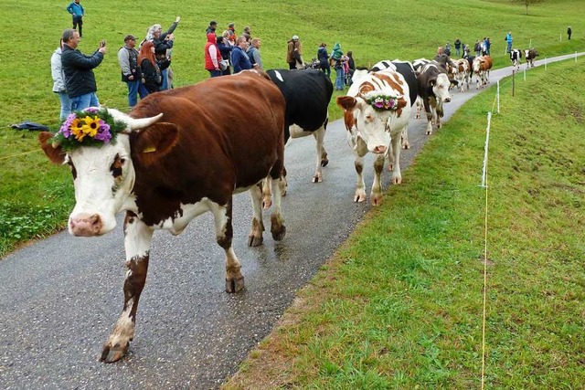 Die teilweise mit bunten Stirnkrnzen ...und dies mit einem Volksfest gefeiert.  | Foto: Eberhard Gross