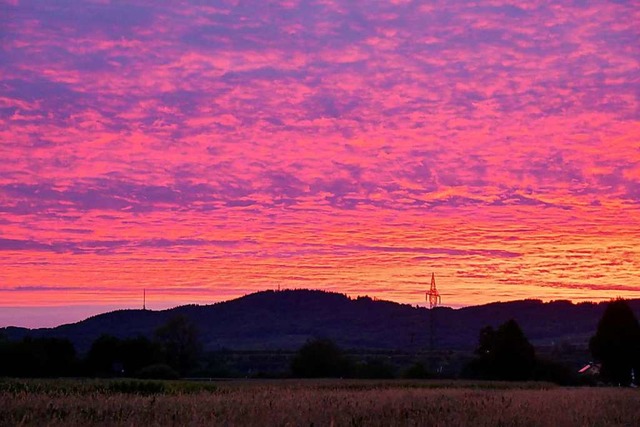 Der Kaiserstuhl.  | Foto: Marcel Meyer