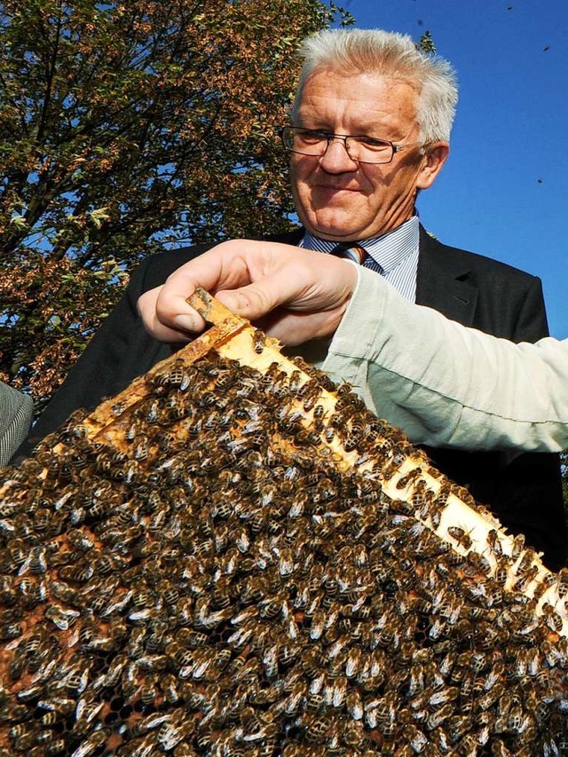 Gegen das Ansinnen, die Bienen zu rett...zum Artenschutz aber geht ihm zu weit.  | Foto: Bernd Weissbrod (dpa)