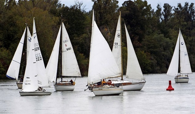 Kaum Wind gab es bei der Absegelregatta auf dem Rhein.   | Foto: privat