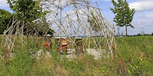 Der Bienenpavillon am sdwestlichen Rand des Wasserpark-Areals.  | Foto: Europa-Park