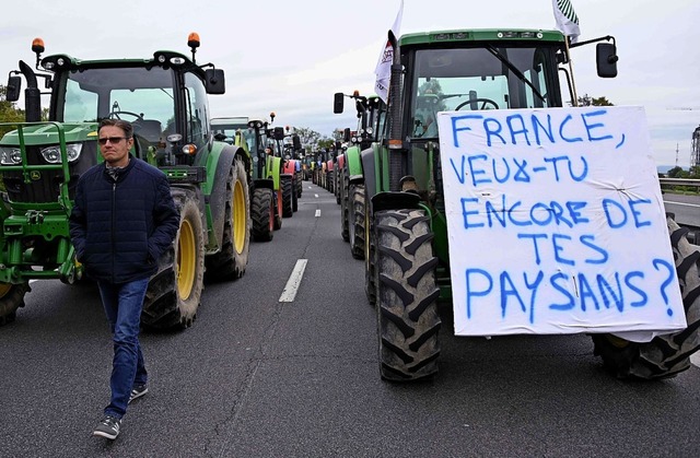 &#8222;Frankreich, willst Du Deine Bau...irte im Elsass mehr Wertschtzung ein.  | Foto: FREDERICK FLORIN (AFP)