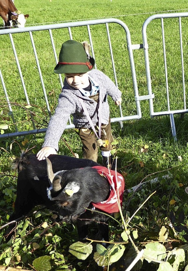 Der &#8222;Geienpeter&#8220; hatte alles im Auge und alles im Griff.    | Foto: Roland Gutjahr